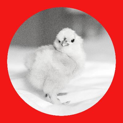 53: Starting Out as an Interpreter