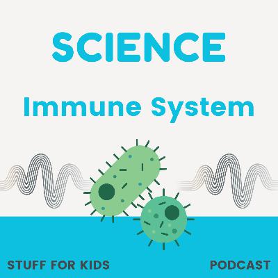 Immune System Immune System