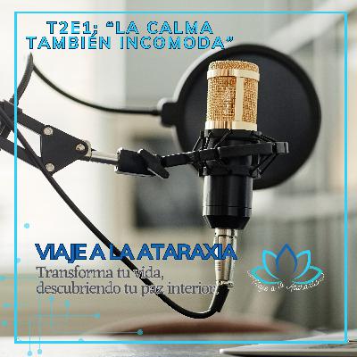 T2E1: “La calma también incomoda”