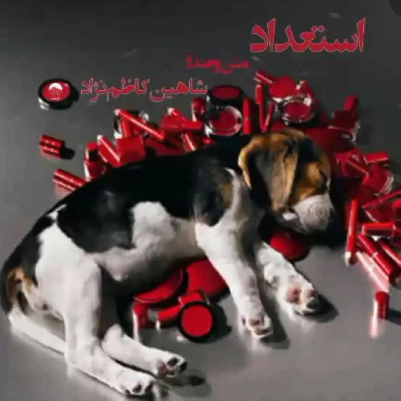 ۲۳-استعداد