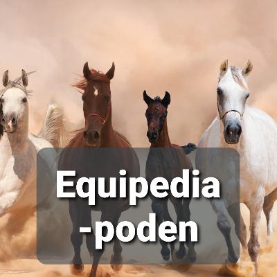 NY HESTEPODCAST - en introduksjon. Fra Hestebiblioteket Equipedia.no og Sportshest.no