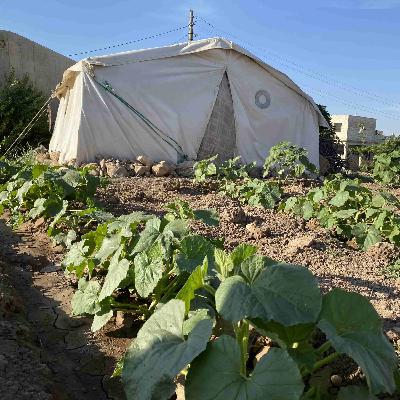 أصوات زراعية – 026 – الزراعة المتجددة – الجزء الثاني – المياه الرمادية - تقديم المهندس زهير الأغا – ضيف الحلقة د. شاهر عبد اللطيف أصوات زراعية – 026 – الزراعة المتجددة – الجزء الثاني – المياه الرمادية - تقديم المهندس زهير الأغا – ضيف الحلقة د. شاهر عبد اللطيف