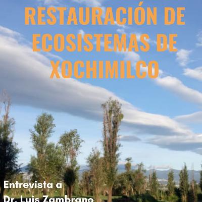 Libro: Xochimilco en el siglo XXI_Un Tlacuache en la Ciudad