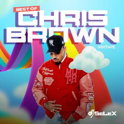 DJ Selex Best of Chris Brown Mixtape