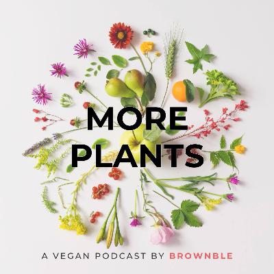 Season Finale! What is MBSR Mindfulness? A Beginner's Guide to Mindfulness and Mindful Eating