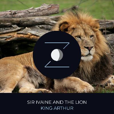 Sir Ivaine and the Lion | King Arthur Sir Ivaine and the Lion | King Arthur