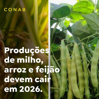Produções de milho, arroz e feijão devem cair em 2026