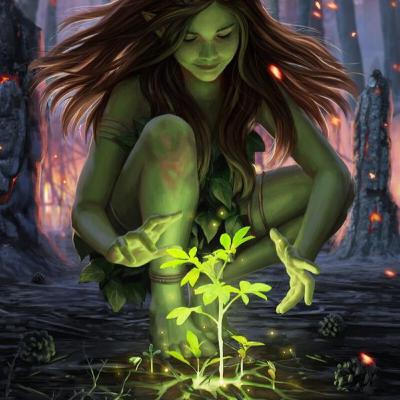DEBUNKING CULT LEADERS AND FAKE LIGHTWORKERS DEBUNKING CULT LEADERS AND FAKE LIGHTWORKERS