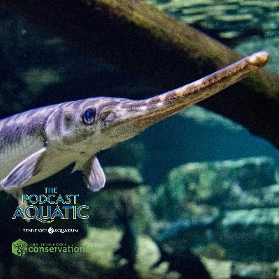 Gabbin' About Gar feat. Dr. Solomon David