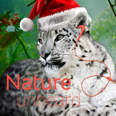 Nature Unheard: The Year in Review (and the Quiz That Puts Us to the Test)