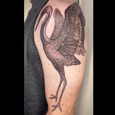 BONUS: An update with Chris Crowe on his first tattoo, a giant portrait of Walnut BONUS: An update with Chris Crowe on his first tattoo, a giant portrait of Walnut