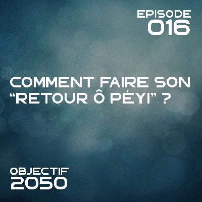 Episode 016 - Comment faire son “Retour au Pays”? Episode 016 - Comment faire son “Retour au Pays”?