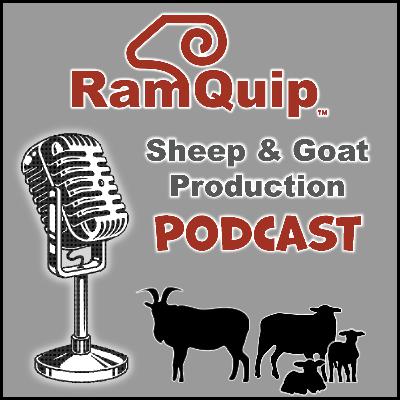 Episode 37 - Farm Updates at LC Ranch and Glenbrook Farm- May 2025