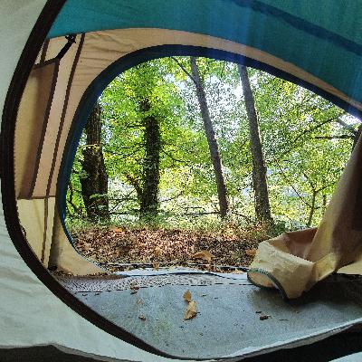 Épisode 24 - Les réseaux sociaux