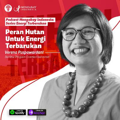 Podcast Energi Terbarukan - Konservasi dan Peran Perlindungan Lingkungan untuk Energi Terbarukan - Verena Puspawardani