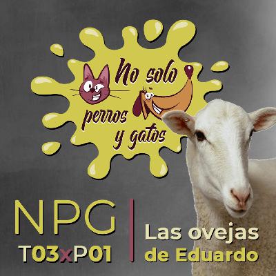 No Solo Perros y Gatos T03xE01: Entramos en tu casa para salir con las ovejas de Eduardo