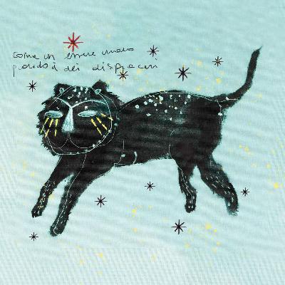 Clelia Marchi e Pietro Ghizzardi - Gli scrittori spontanei Clelia Marchi e Pietro Ghizzardi - Gli scrittori spontanei