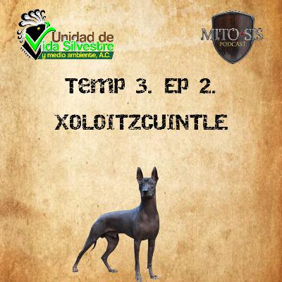 Temp.3 Ep 2. Xoloitzcuintle