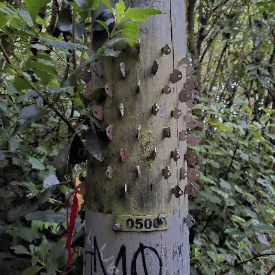 Episode 780: February 26, 2026