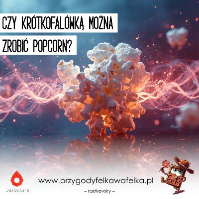 🔬 SNF #011. Czy krótkofalówką można zrobić popcorn? | Słodka Nauka Felka Wafelka 🔬 SNF #011. Czy krótkofalówką można zrobić popcorn? | Słodka Nauka Felka Wafelka