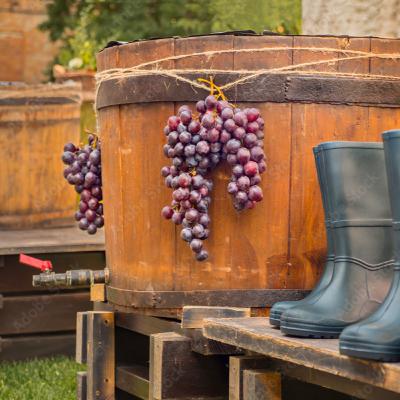 boot mouth grapes