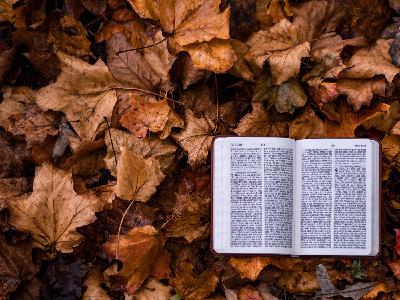 Man's Leadership Fails, But God's Word Is Sure