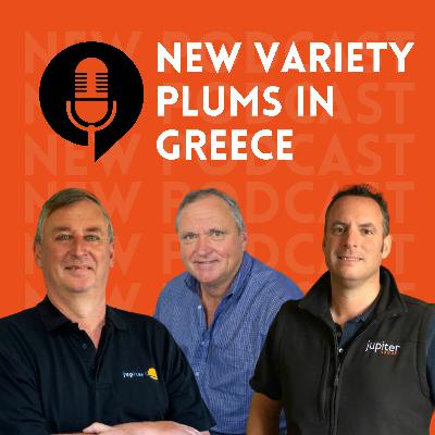 Ep. 15 New variety plums in Greece Ep. 15 New variety plums in Greece