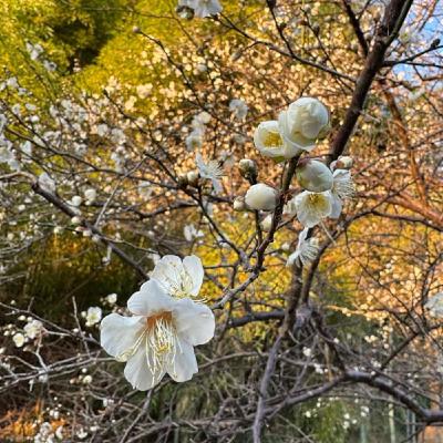 ターゲット設定を明確に行わなければならない理由 ターゲット設定を明確に行わなければならない理由