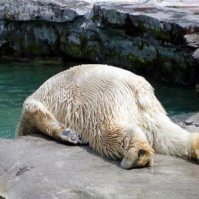 Hungover Beyond Repair