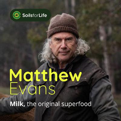 Milk, the original superfood, with Matthew Evans
