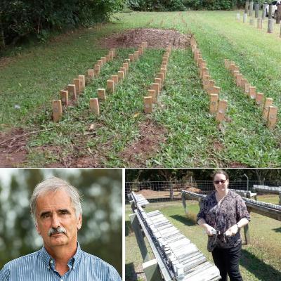 Episode 26 - Big tick for FWPA supported research centre to continue vital work Episode 26 - Big tick for FWPA supported research centre to continue vital work