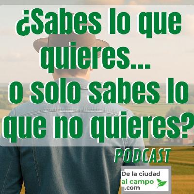 ¿Sabes lo que quieres… o solo sabes lo que no quieres?