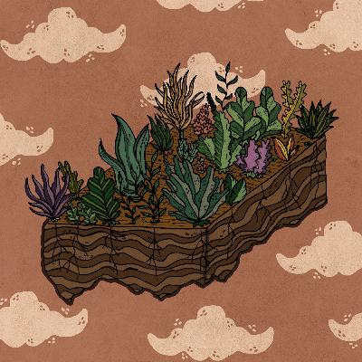 Tiempo de siembra y cosecha Tiempo de siembra y cosecha