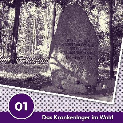 #1 Zwischen Bäumen und Stacheldraht