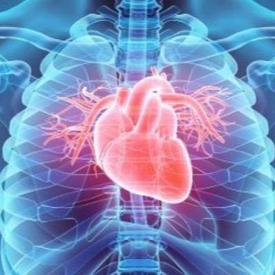 Le coeur a ses raisons