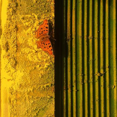 Microphone francophone - REMUSICALISER LE MONDE 21 Microphone francophone - REMUSICALISER LE MONDE 21