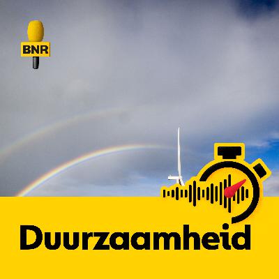 Groene stroom gaat verloren door krapte op stroomnet