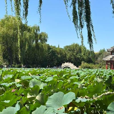 大保北（上）-短暂且丰富的北京保定之行～