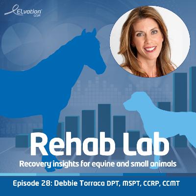 Episode 29: Debbie Gross Torraca, DPT, MSPT, CCRP, CCMT - Wizard of Paws