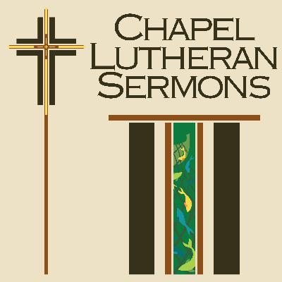 Tenth Sunday after Pentecost - August 17, 2025
