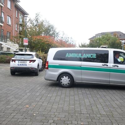 Ukrainian teen fatally stabbed in Dublin recently arrived in Ireland