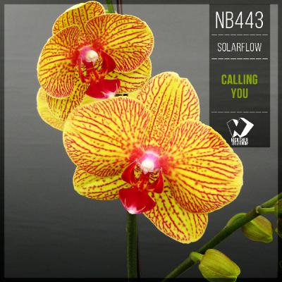 SolarFlow - Calling You (Original Mix)