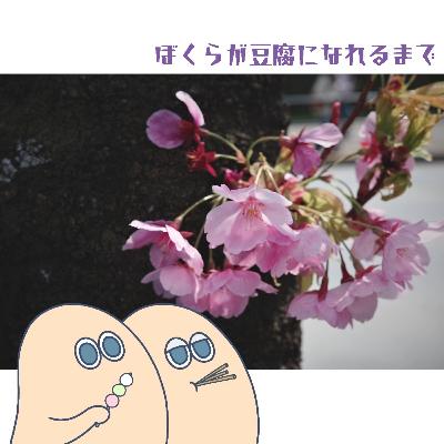 #54 あまんすばっくいんはいすくーる