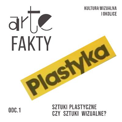 Sztuki plastyczne czy sztuki wizualne? Sztuki plastyczne czy sztuki wizualne?