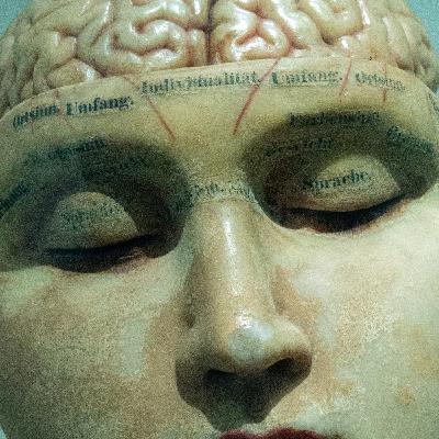 Los Criminales Dormidos