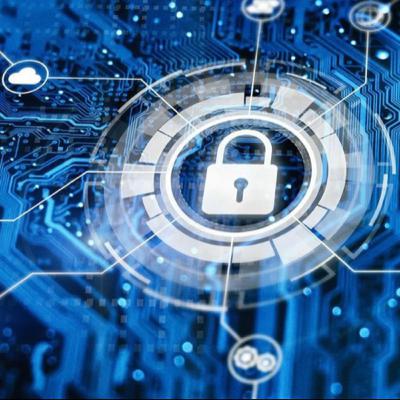 Cybersecurity in Organizations