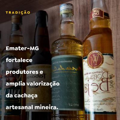 Emater-MG fortalece produtores e amplia valorização da cachaça artesanal mineira