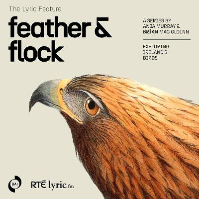 Feather & Flock - Eagles | The Lyric Feature Feather & Flock - Eagles | The Lyric Feature