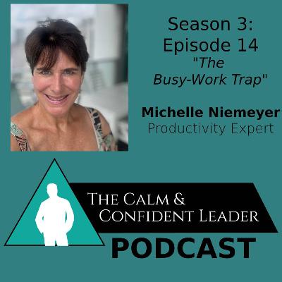 S3-Episode 14: Busy Work Trap - Michelle Niemeyer