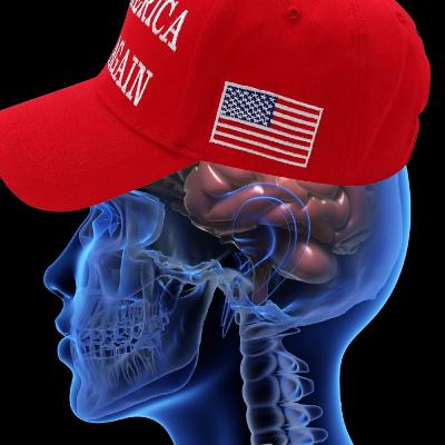 Inside The MAGA Brain: The Psychology of When Politics Override Reality Inside The MAGA Brain: The Psychology of When Politics Override Reality